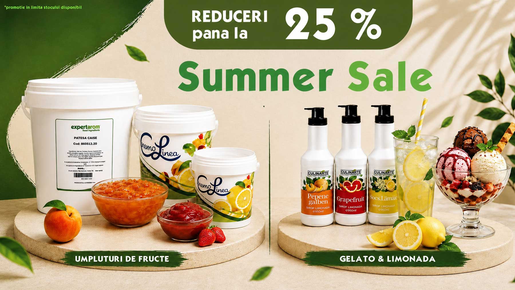 Promotii Expertarom